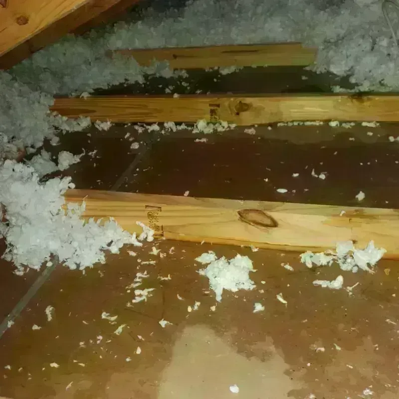 Attic Water Damage in Baird, TX